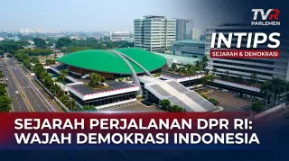 Intips