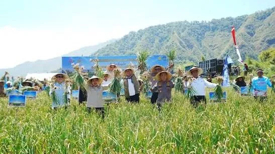 Komisi IV Tanam Edelweiss di Bromo, Dukung Kelestarian Ekosistem dan Adat Tengger