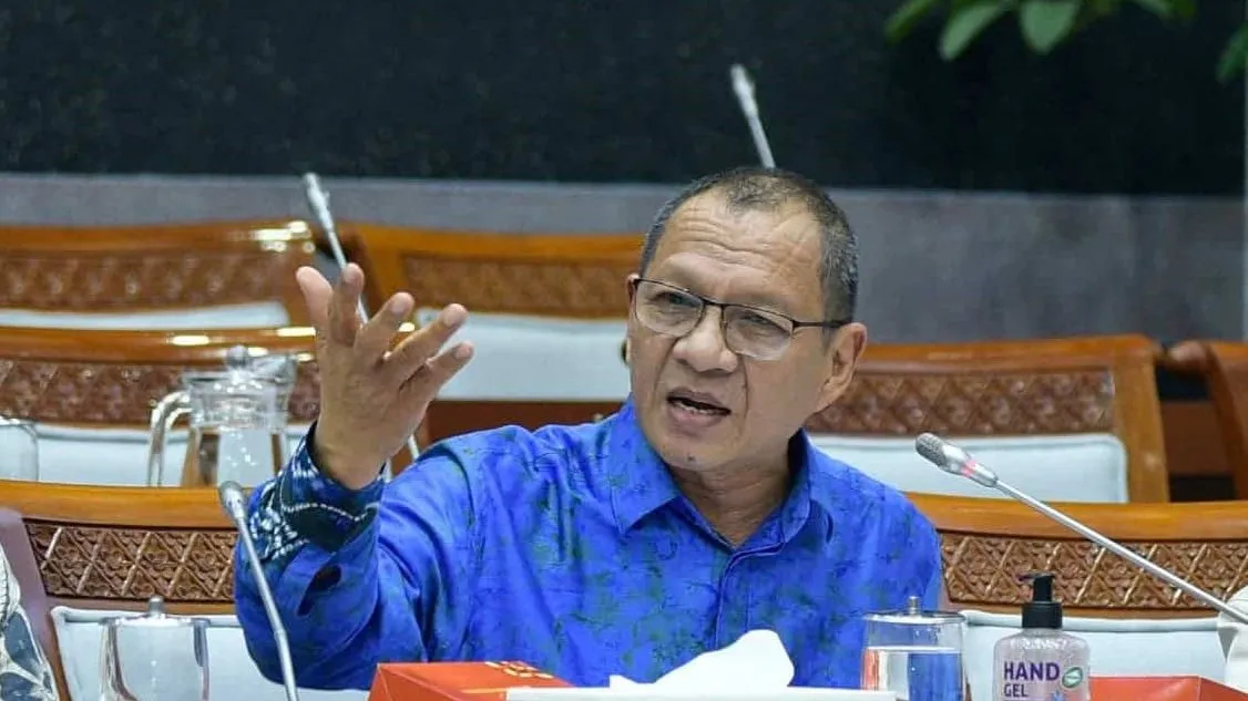 M.Husni Tekankan Urgensi Revisi UU Kebencanaan dan Penguatan BNPB