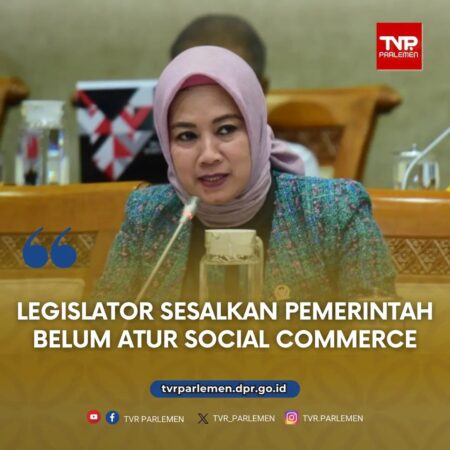 Legislator Sesalkan Pemerintah Belum Atur Social Commerce