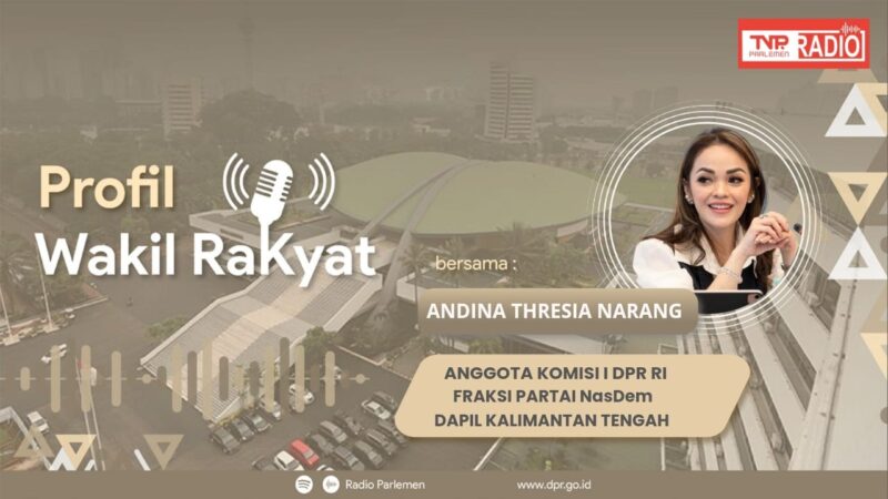 PROFIL WAKIL RAKYAT ANDINA NARANG